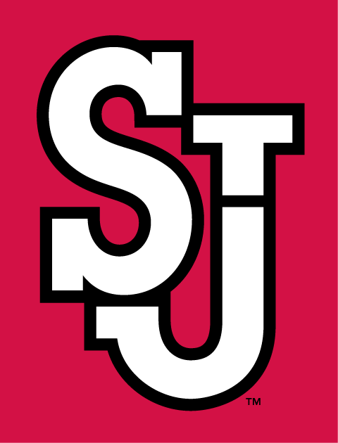 St. John's Red Storm 2007-Pres Alternate Logo DIY iron on transfer (heat transfer)